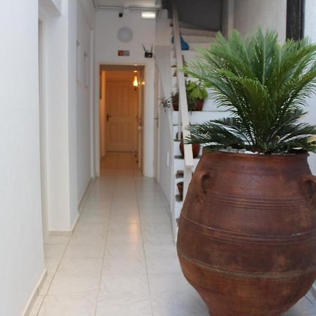 Carolina Apartments Crete Ajía Pelajía Kültér fotó