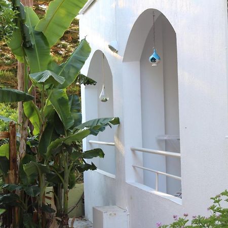 Carolina Apartments Crete Ajía Pelajía Kültér fotó