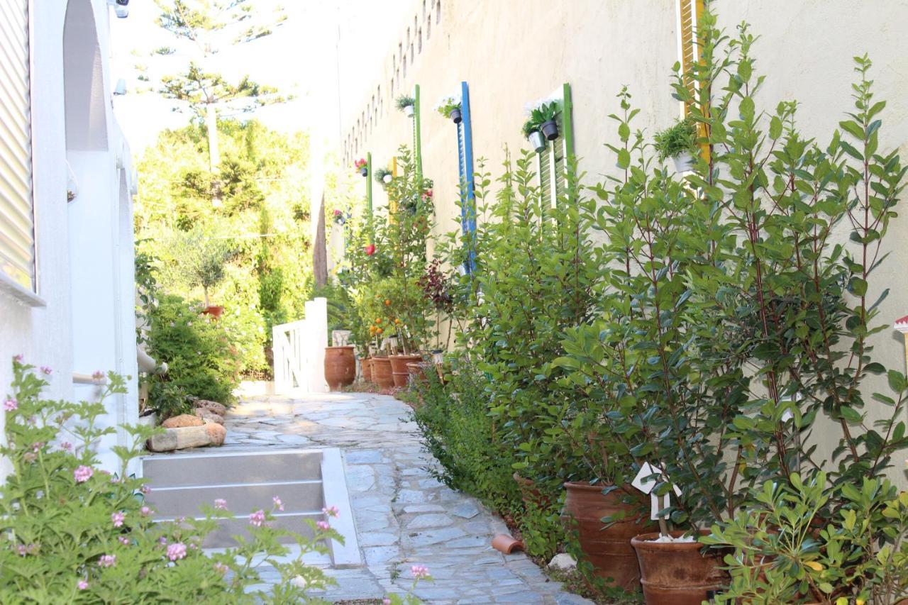 Carolina Apartments Crete Ajía Pelajía Kültér fotó