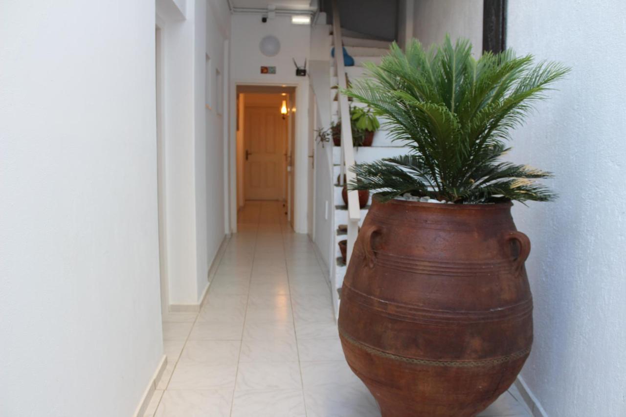 Carolina Apartments Crete Ajía Pelajía Kültér fotó
